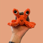 Horatio the Hermit Crab
