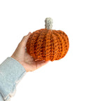 Pumpkin Amigurumi Decor